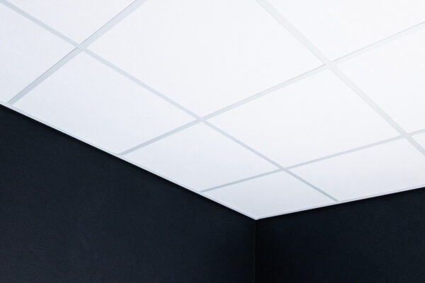 Rockfon Lithos inleg 600x600x15mm systeemplafond