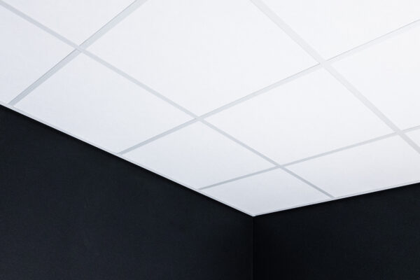 Ecophon Focus inleg 600x600x20mm systeemplafond
